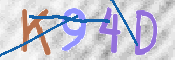Security Code:
