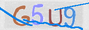 Security Code: